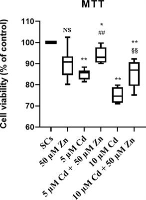 Zinc restores functionality in porcine prepubertal Sertoli cells exposed to subtoxic cadmium concentration via regulating the Nrf2 signaling pathway